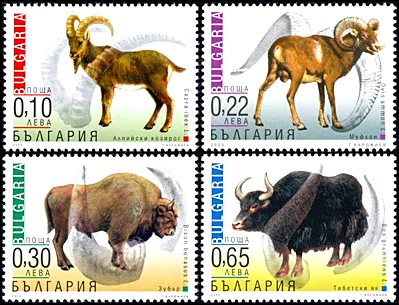 stamp