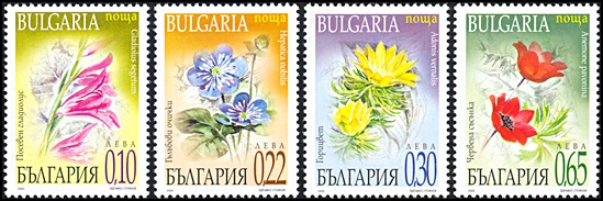 stamp